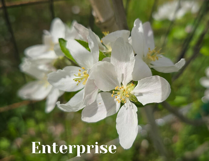 20260410_141111 (2026-04-11T13_52_25.261)