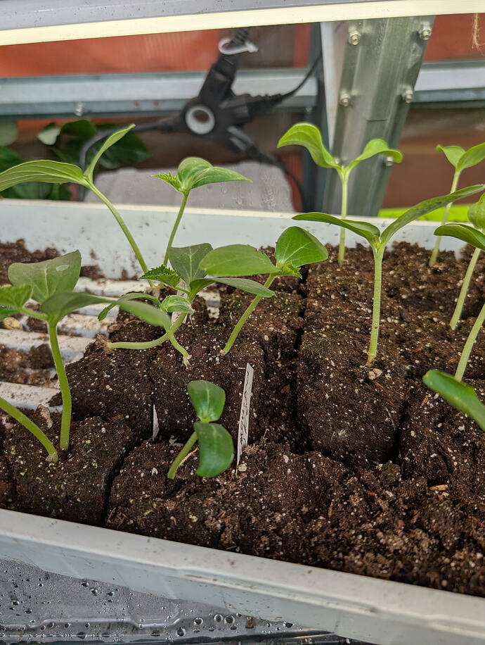 PXL_20260226_223729152