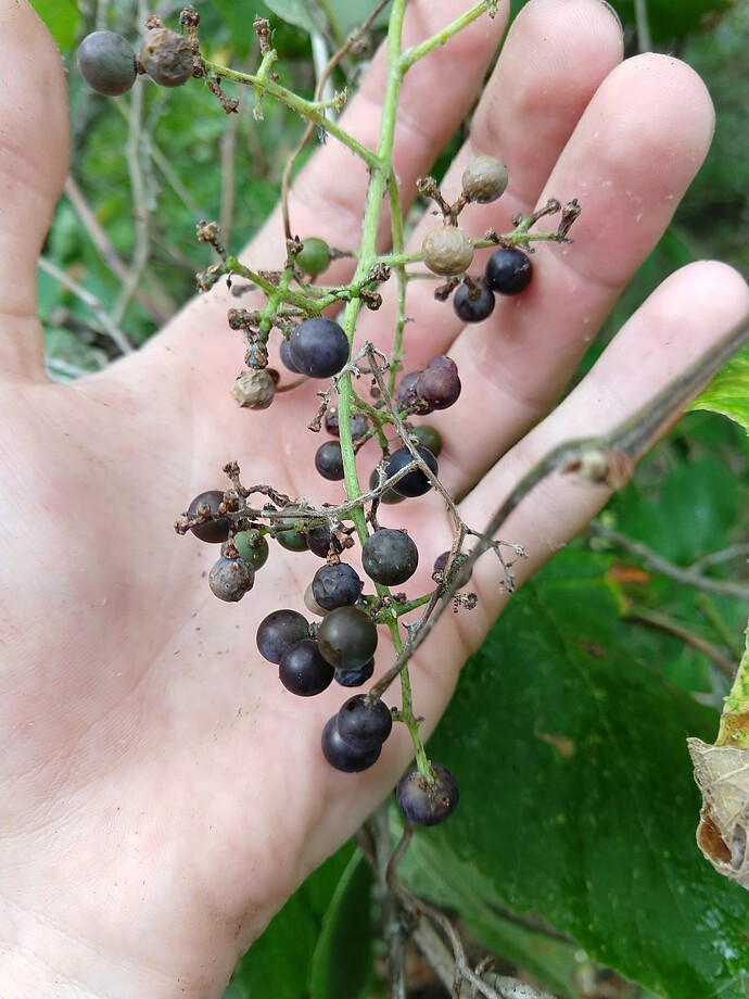 20190823_1659301897757921853367202