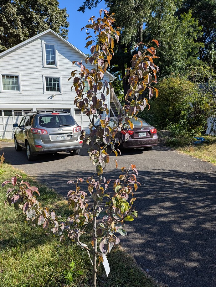 PXL_20250903_132223386