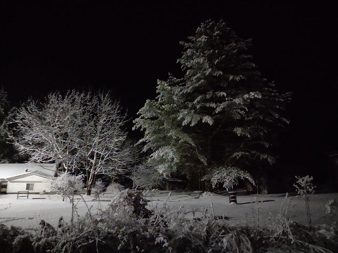 IMG_20260203_211242405