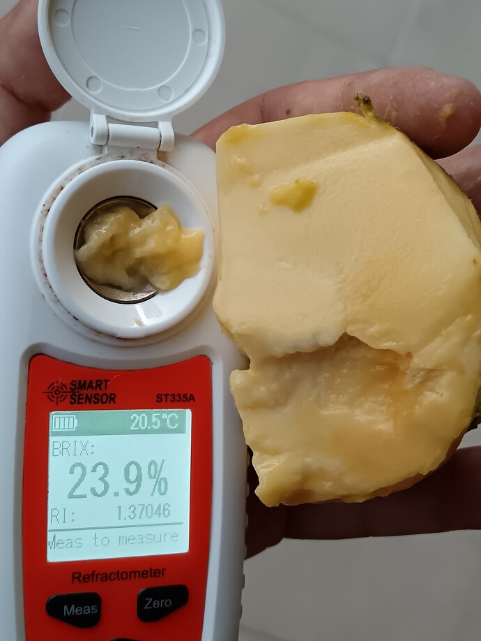 IMG_20250921_193535_edit_706582932229037