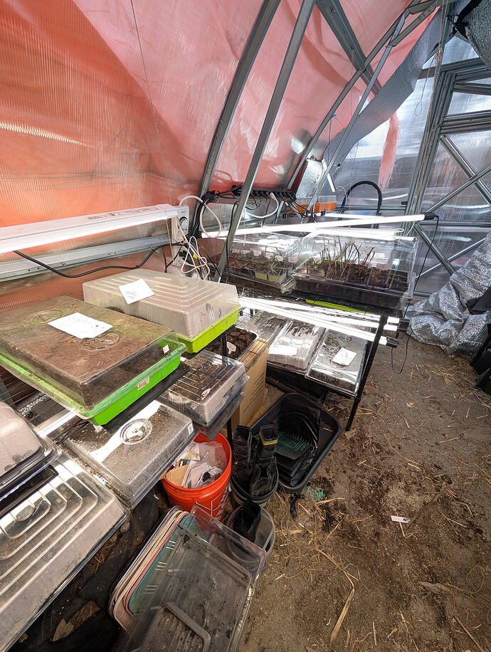 PXL_20260213_235544145