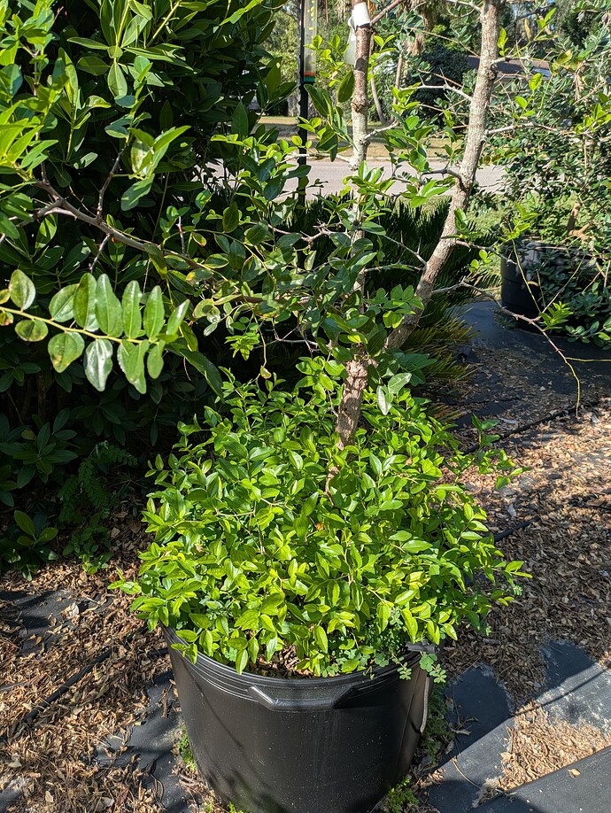 PXL_20250904_211753395