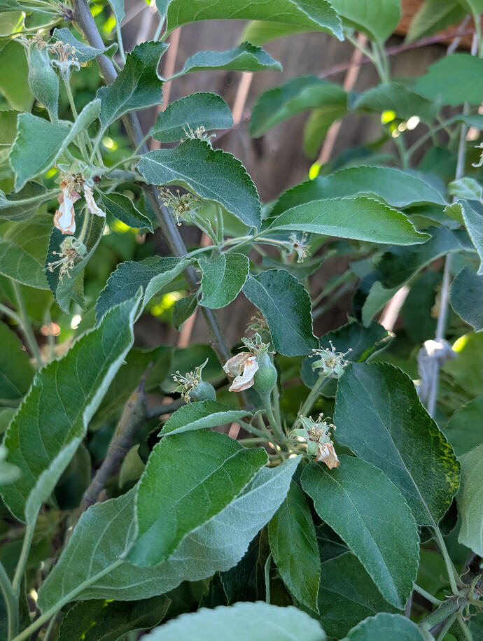 PXL_20260512_010122315