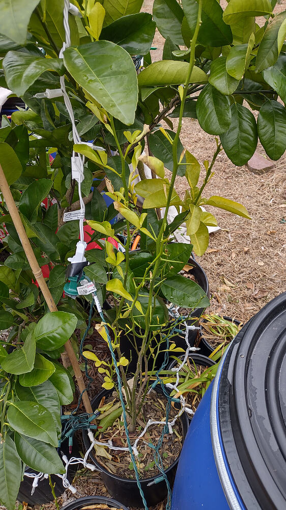 IMG_20260211_134251669_HDR