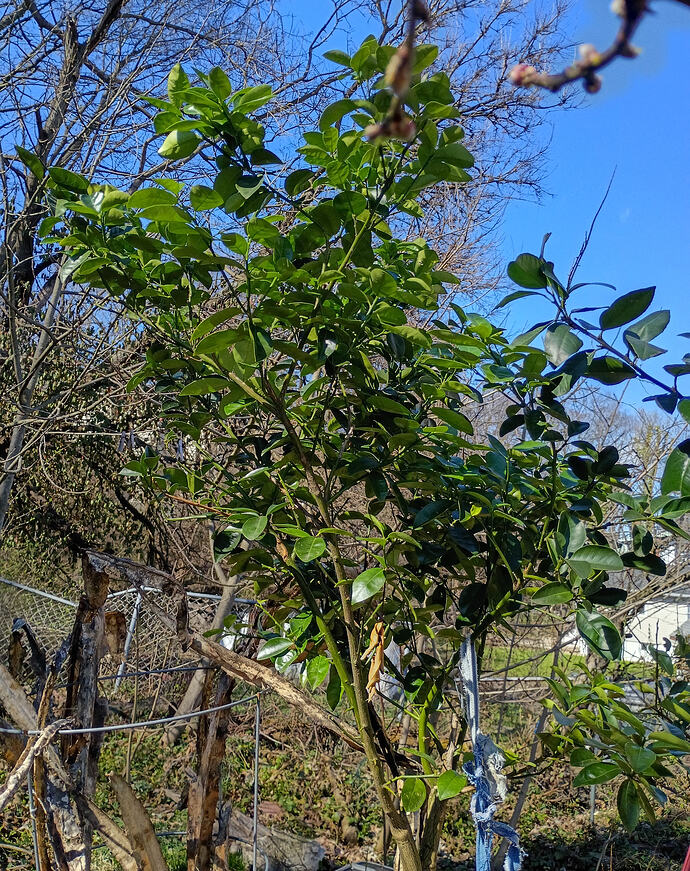IMG_20260312_155305087_HDR