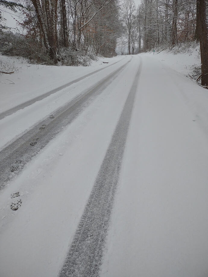 IMG_20260206_124350279