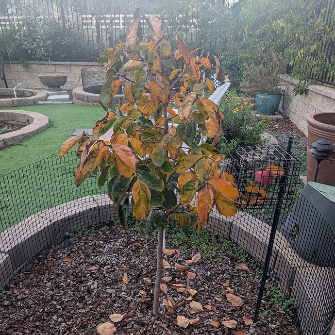 PXL_20251216_004004494