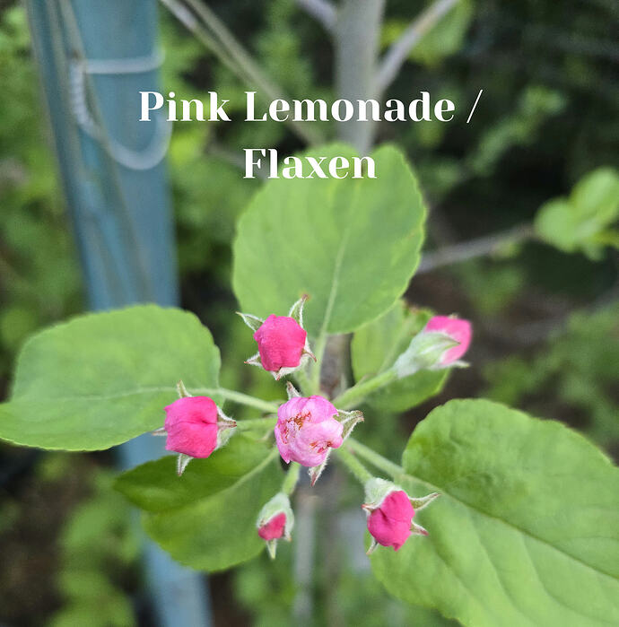 20260408_065352_edit_1775656788352