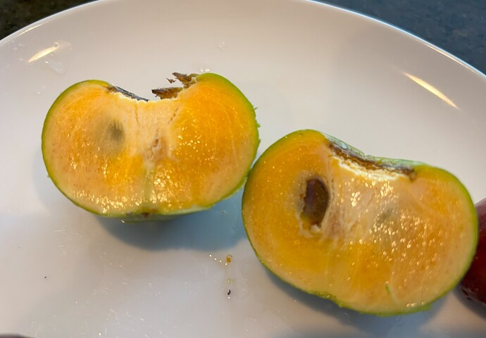 Persimmons3