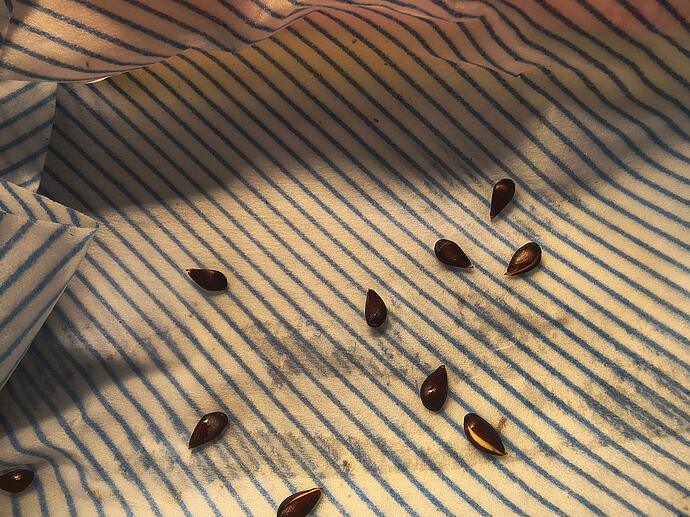 IMG_20260307_112915154_HDR