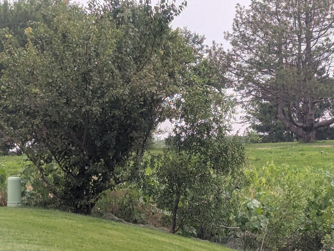 PXL_20260804_114347229