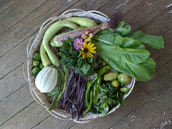 PXL_20250814_174523485