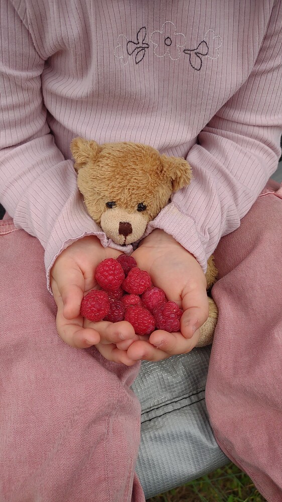 IMG_20251011_090353392