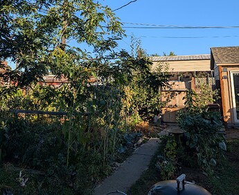 PXL_20251007_153409744