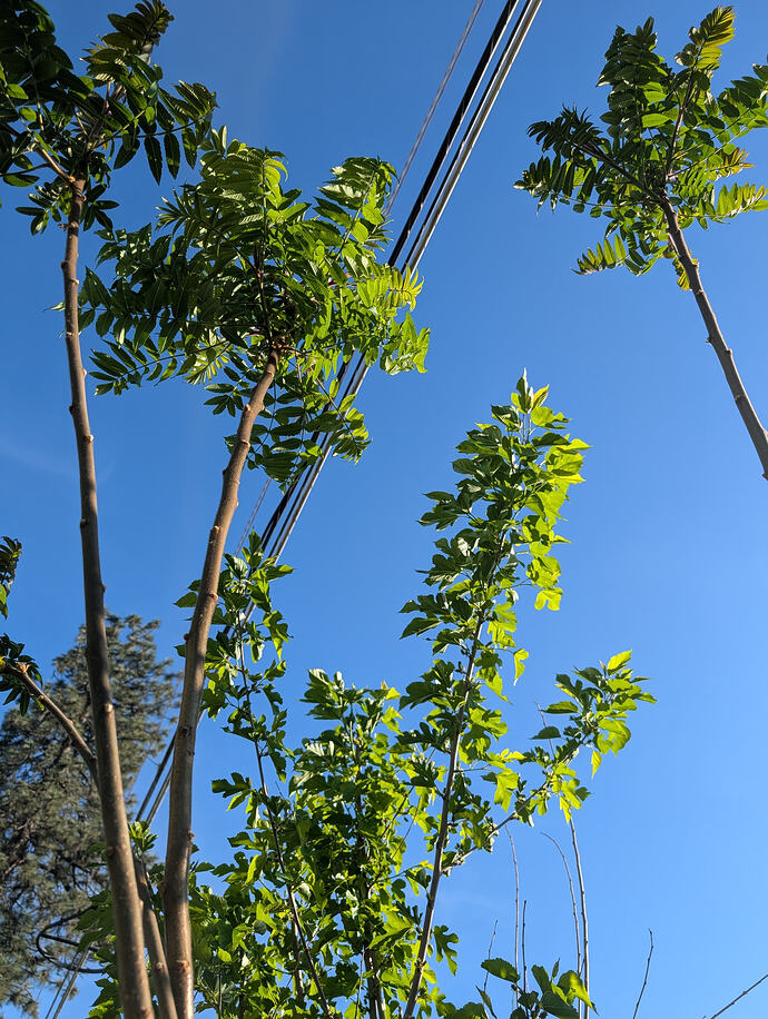 PXL_20260512_010047120