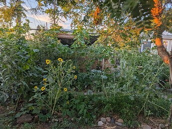 PXL_20250825_022426420