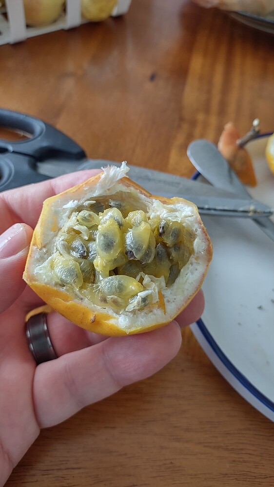 IMG_20251207_124520036_HDR