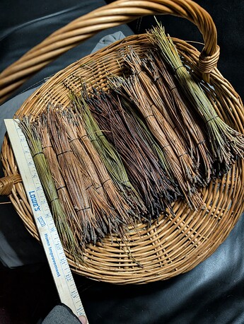 PXL_20251112_131740134