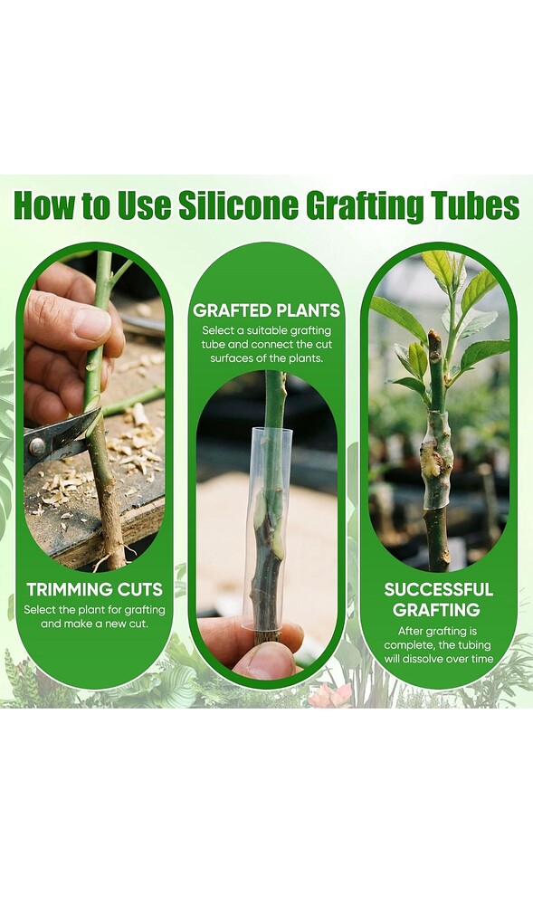 Screenshot_20260301_195102_Amazon Shopping