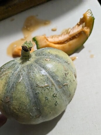 QVZoc09jdmlZUnV3bWsyWjBGdU1WdHY3