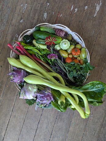 PXL_20250821_215515082