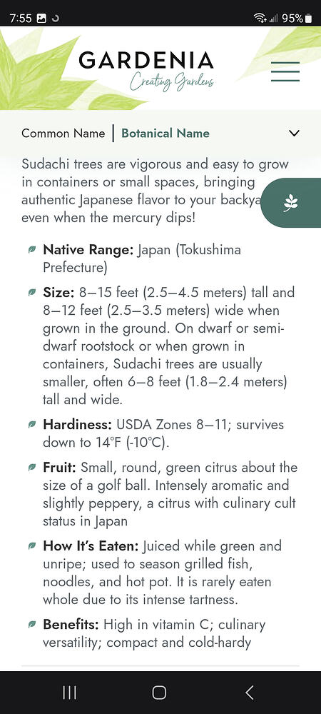 Screenshot_20260620_075507_Samsung Browser