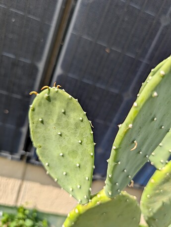 PXL_20250624_230858950