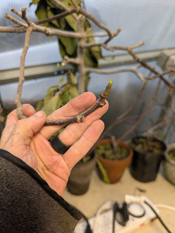 PXL_20260213_235901496