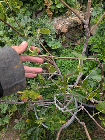 PXL_20250806_194635407