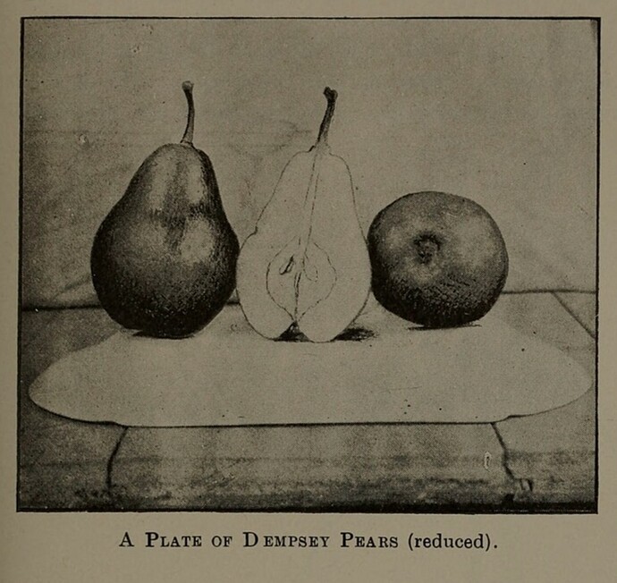 Screenshot_20251001_185342_Samsung Internet