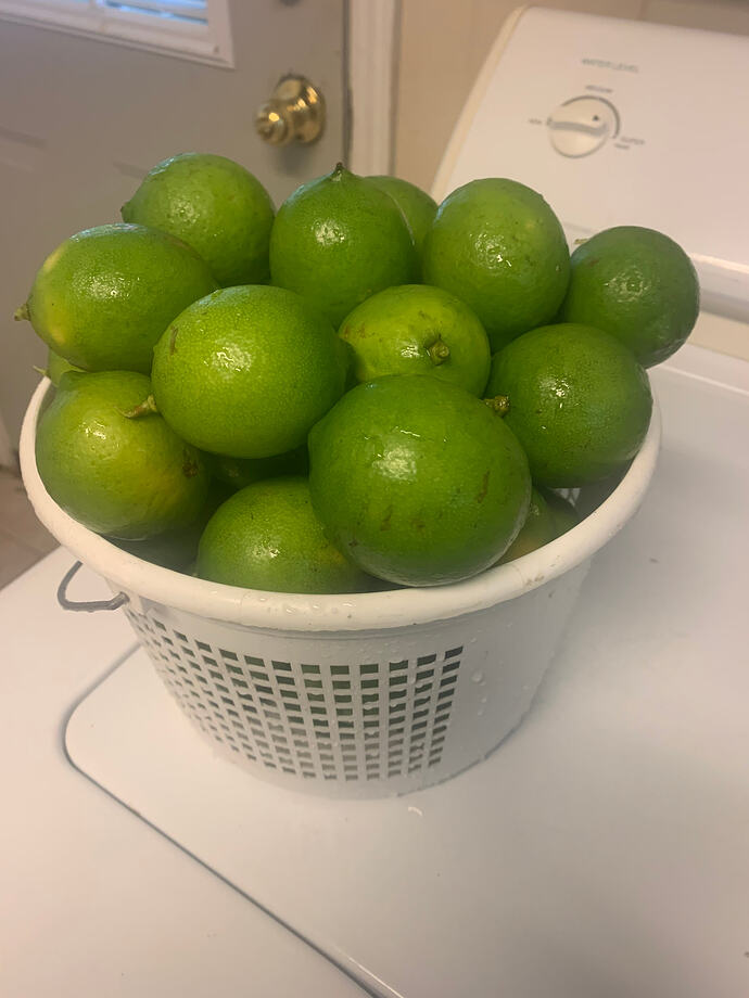 limes to juice in bucket