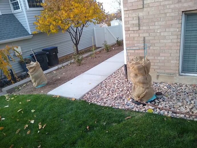 IMG_20251104_172745455