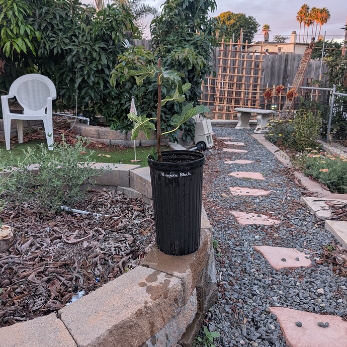 PXL_20250919_014242973