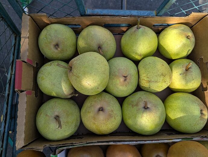 JosephineBox20251030_