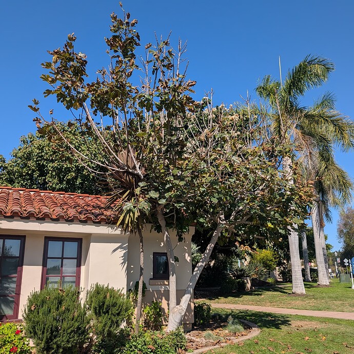 PXL_20251028_201314911