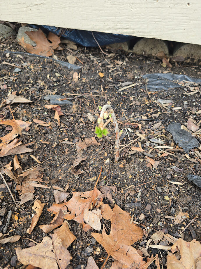 ad96a22f-d0f1-4958-a69e-53a7dc60299a