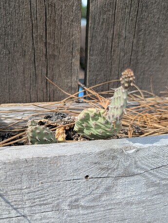 PXL_20250624_230457732