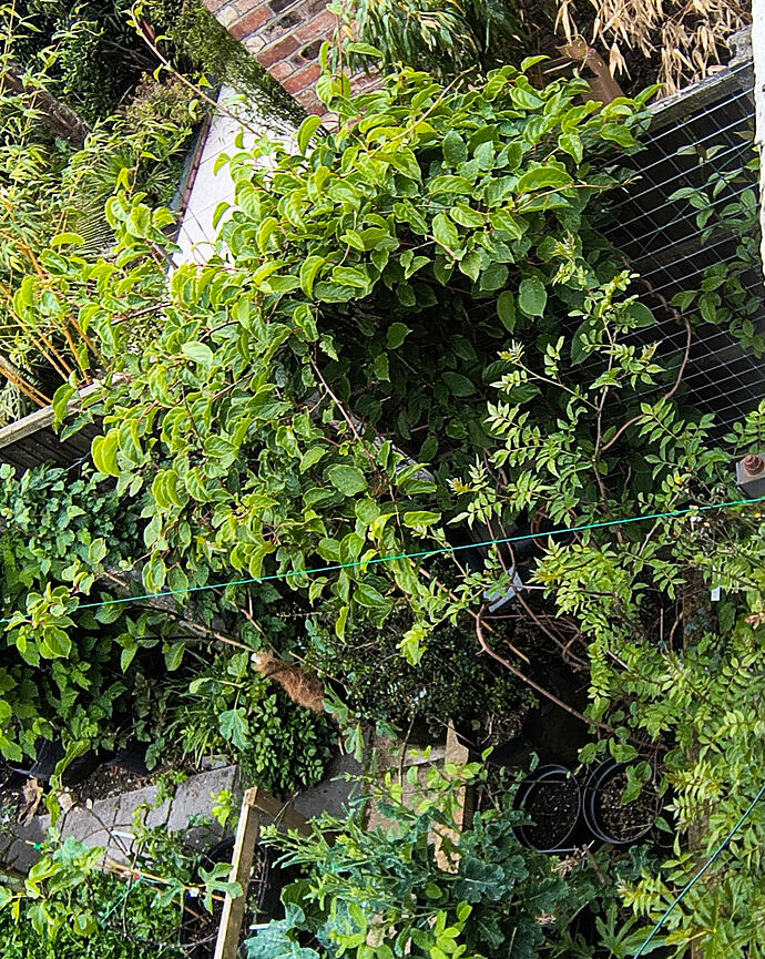 IMG_20260519_182535926_HDR~2