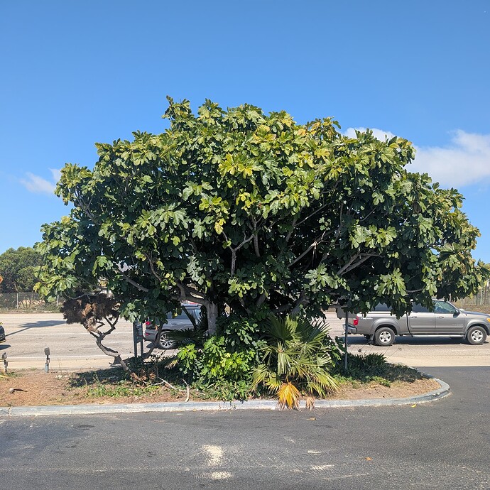 PXL_20251008_190830091