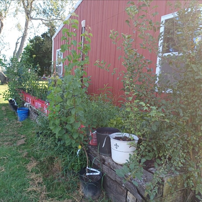 Screenshot_20250808_173914_Gallery