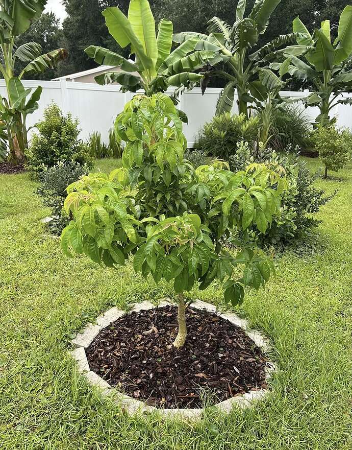 539748656_10237035038717483_1141707944669215753_n