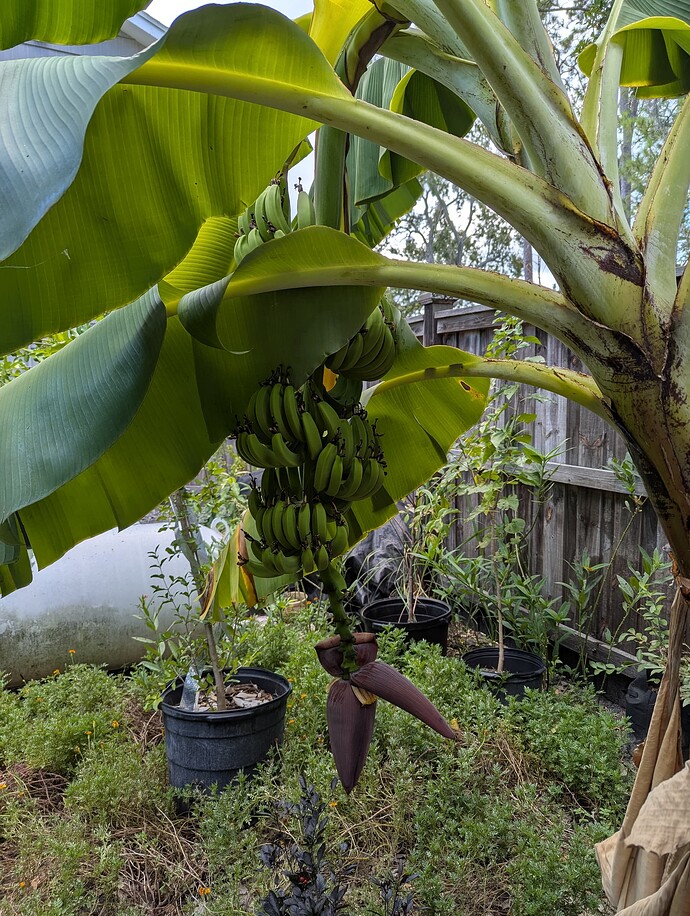 PXL_20250924_171413236