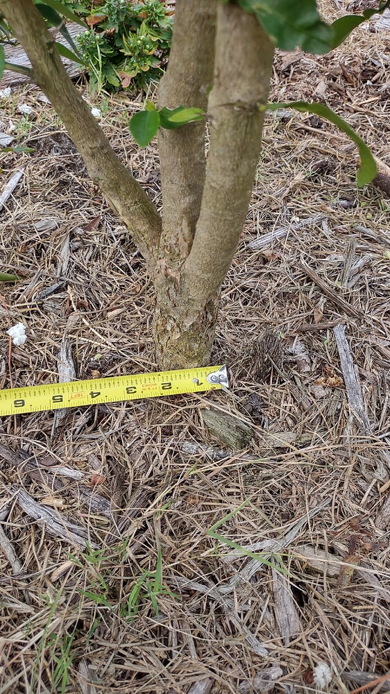 IMG_20250707_102538824_HDR