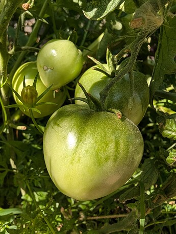 PXL_20250823_232600166