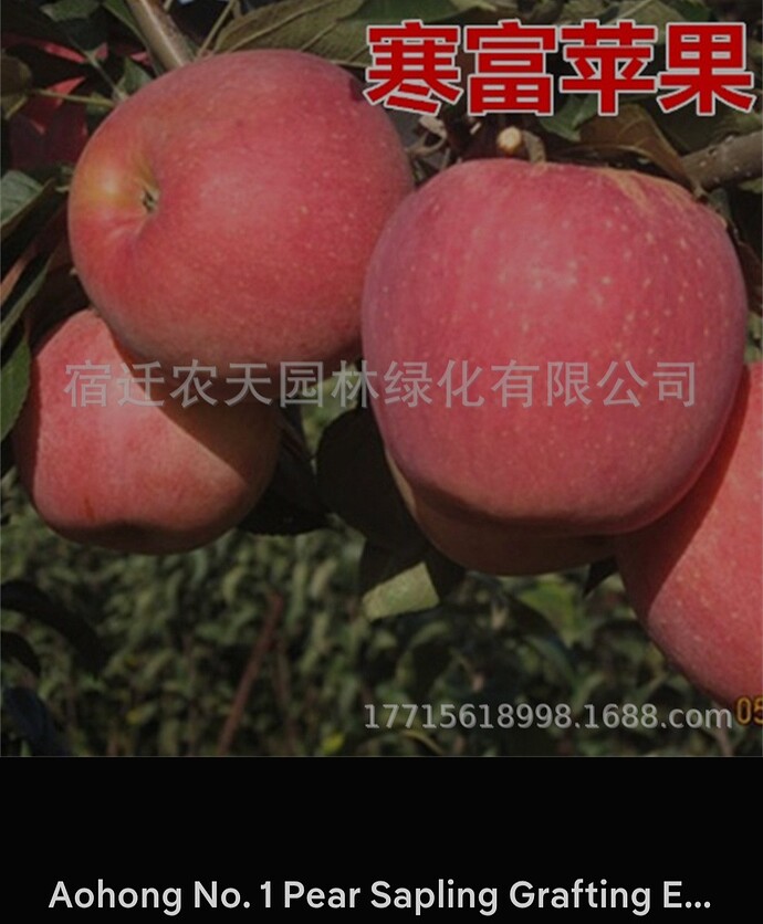 Screenshot_20260208_021246_Samsung Internet