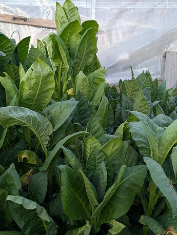 PXL_20250707_032202772
