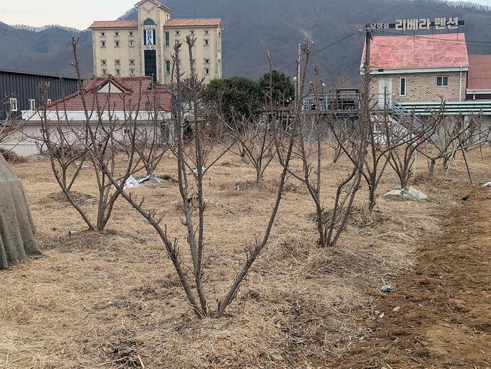 PXL_20260301_043647897