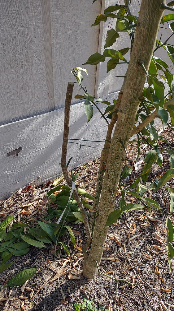 IMG_20260128_094951774_HDR